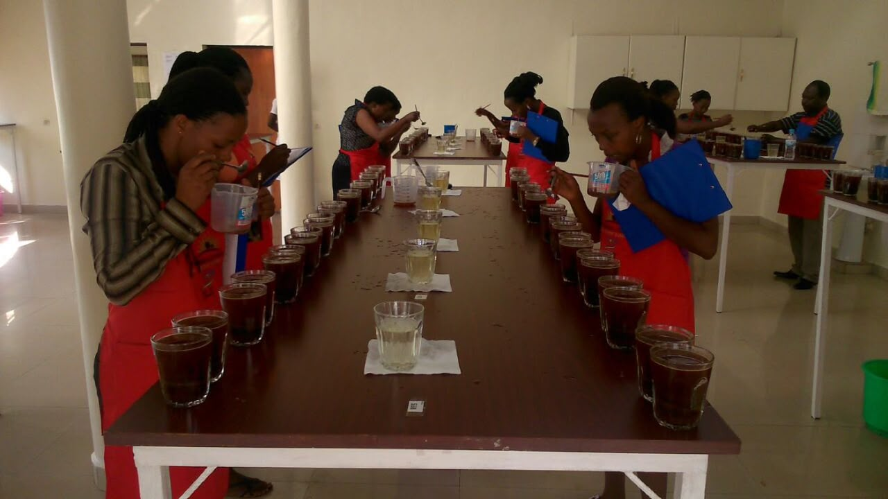 Coffee export documents prepared for an international shipment