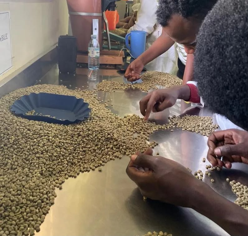 Coffee quality inspection